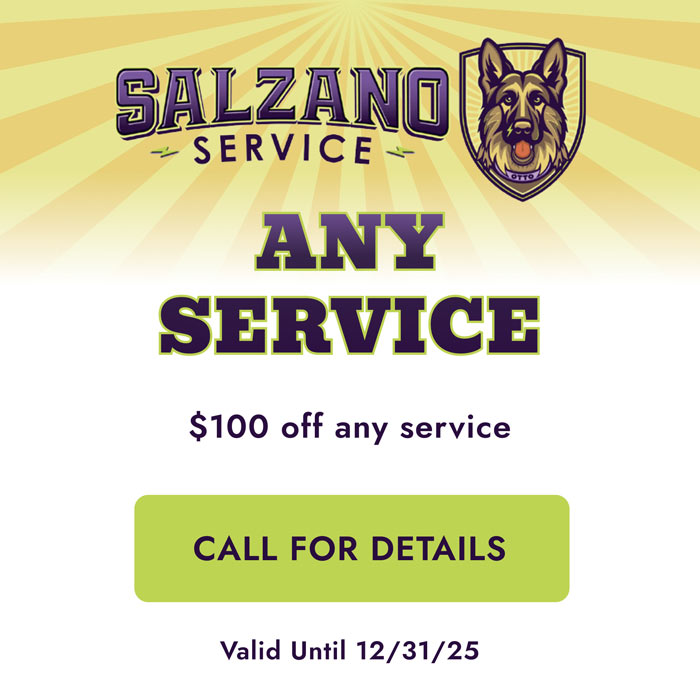 salzano-any-service-12-31-offer